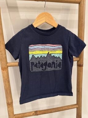 Patagonia Navy Tee with Multicolor Mountain Graphic